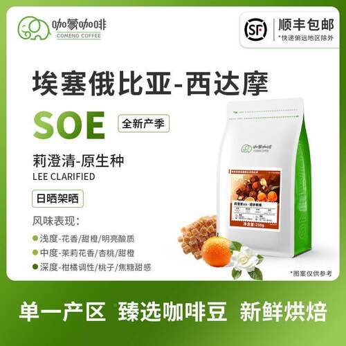 咖蒙意式/美式SOE埃塞西达摩G1咖啡豆新鲜烘焙现磨黑咖啡粉250g