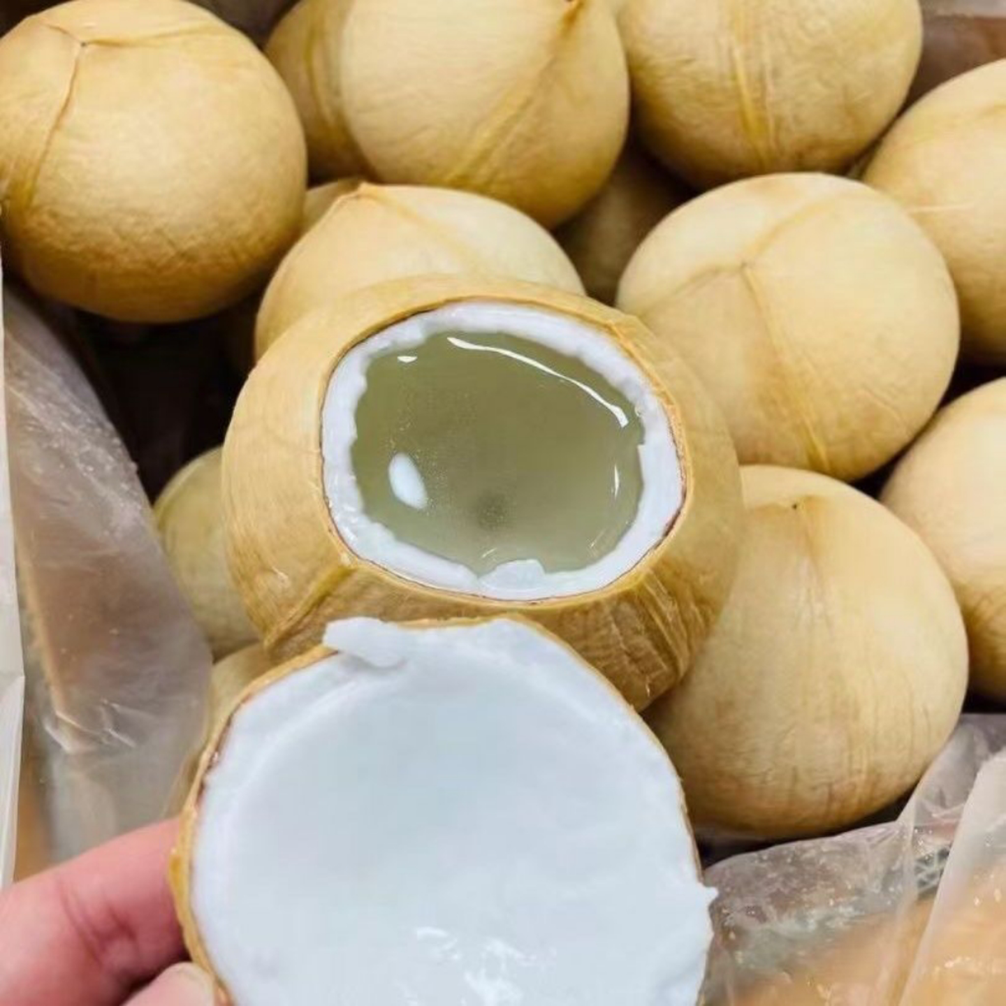 海南牛奶椰皇9个装聚餐宴会煲鸡汤老椰子肉椰汁风味孕妇整箱包邮