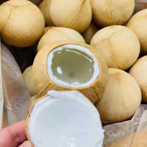 海南牛奶椰皇9个装聚餐风味煲汤