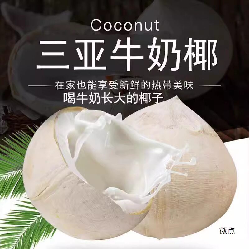 大果整箱包邮牛奶海南树上熟椰皇