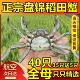 全母40只盘锦河蟹稻田蟹鲜活1一元 蟹大闸蟹螃蟹2正宗六月黄活蟹