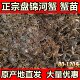 活蟹盘锦河蟹苗大闸蟹苗扣蟹稻田养殖淡水小螃蟹幼苗中华绒螯蟹