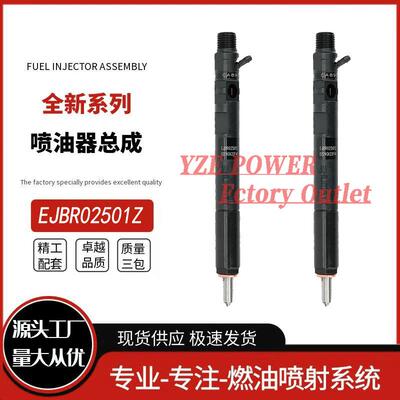 EJBR03001D EJBR02501Z柴油喷油器 33800-4X900 EJBR02501Z