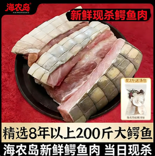新鲜1斤生鲜肉食用暹罗鄂鱼肉整只人工养殖鳄鱼肉红烧 新鲜鳄鱼肉