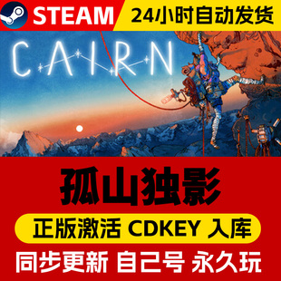 STEAM游戏 孤山独影 全球区激活码CDK 永久入库 全DLC
