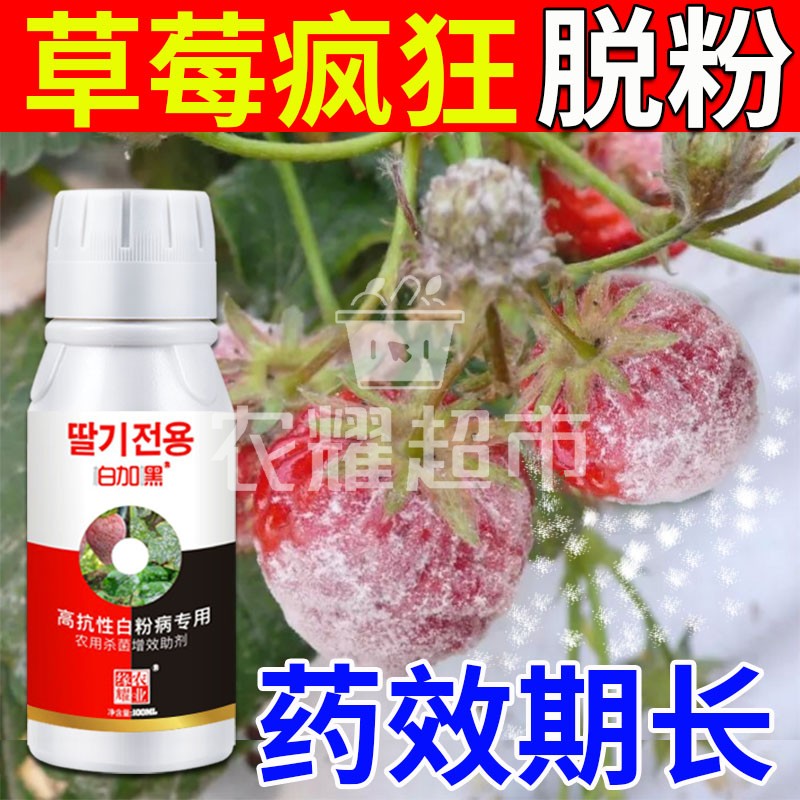 草莓白粉病特效药】快速脱粉持效期长草莓卷叶萎缩枯焦防治杀菌剂