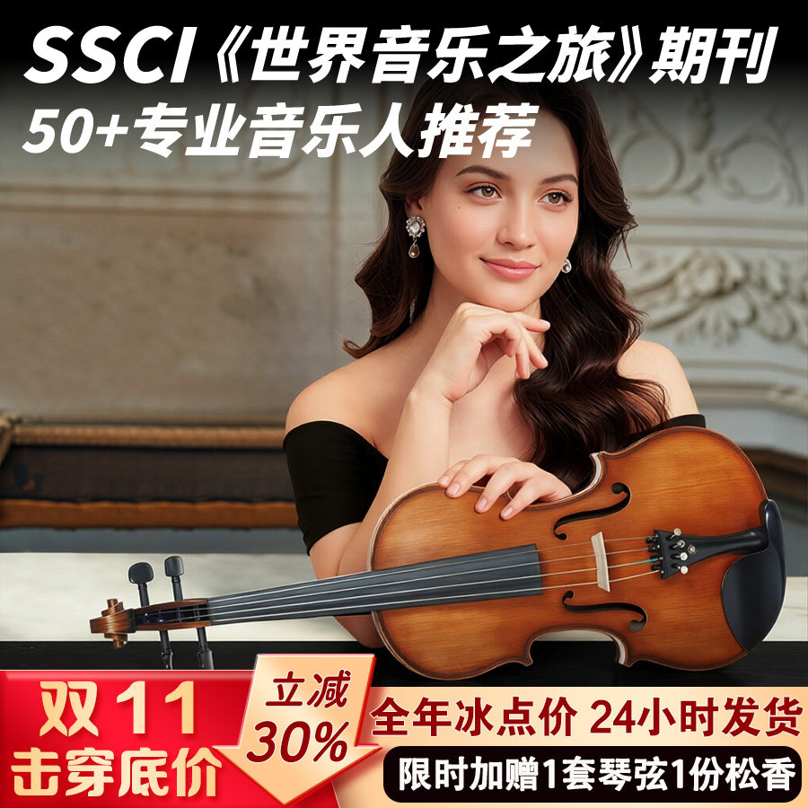 SEENWINS1715圣维斯sw100手工小提琴官方初学者成人儿童专业级