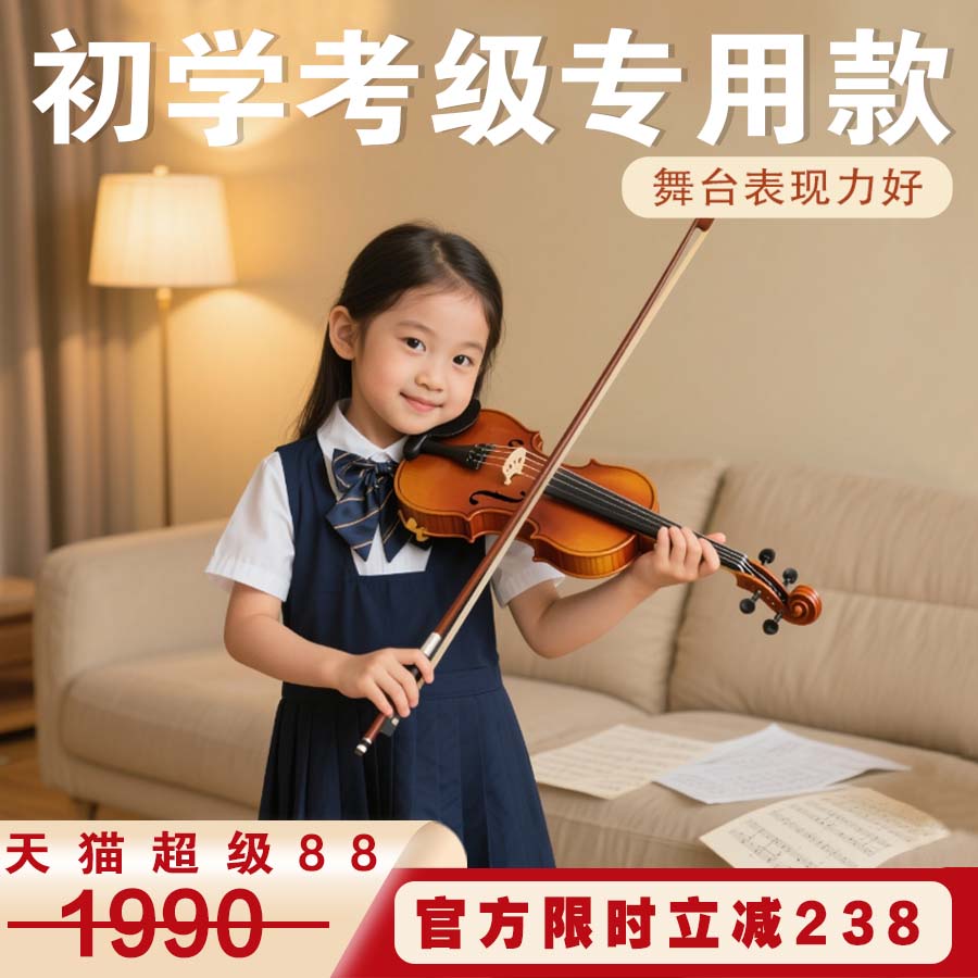 SEENWINS初学考级专用款小提琴