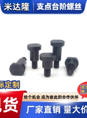 两平面扁位型台阶限位支点螺丝螺栓12MJK24 FCBDW CBDW4 5 6 8 10