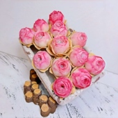 山地玫瑰水蜜桃酒杯多肉植物盆栽室内阳台幼儿桌面绿植