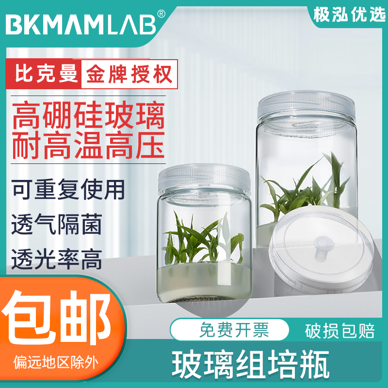 Labshrk玻璃组培瓶养植物
