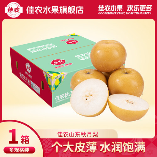 佳农山东秋月梨25年新果彩箱装