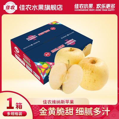 佳农山东维纳斯苹果4.5斤