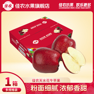 佳农甘肃天水花牛苹果粉面细腻新鲜水果4.5斤