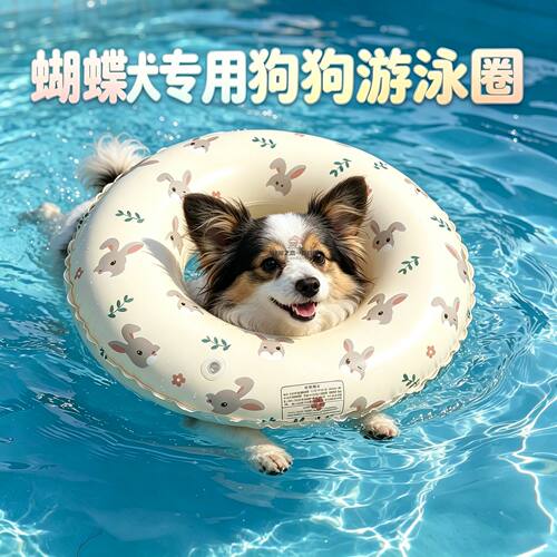 蝴蝶犬专用装备泳圈狗狗泳衣宠物游泳圈小型犬小狗狗水上浮排降温