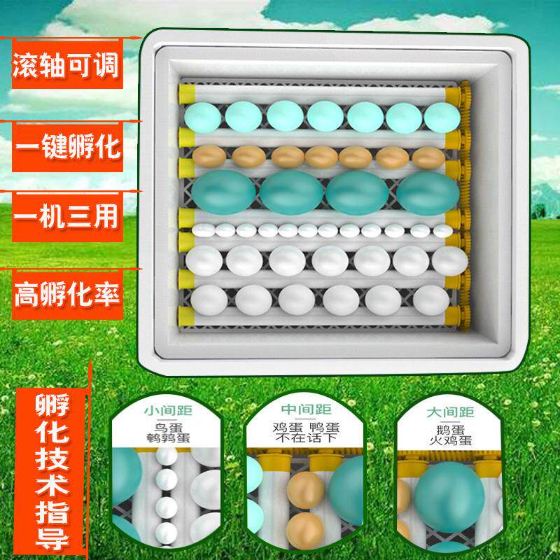 孵化机全自动孵化器小型型家用孵蛋机智能迷你孵化箱小鸡孵蛋器