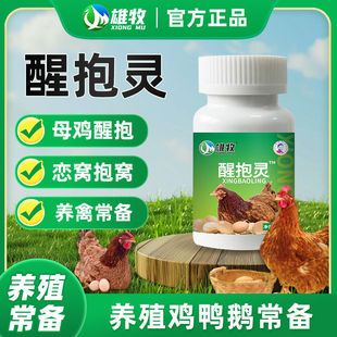 雄牧醒抱灵鸡鸭鹅抱窝不起速醒药拉窝不让孵小鸡特快正品母鸡催醒