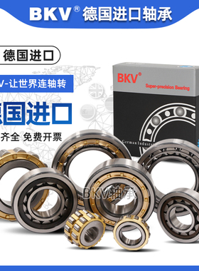 德国BKV进口轴承NJ1004 NJ1005 NJ1006 NJ1010 NJ1011 EM P5 P4