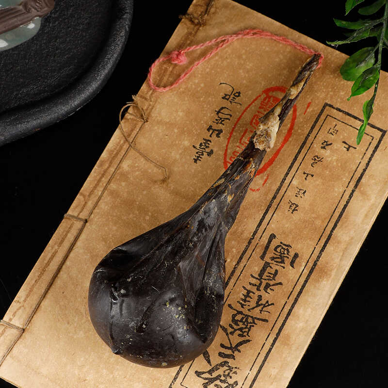中药材黄牛胆肝护肝平肝明目
