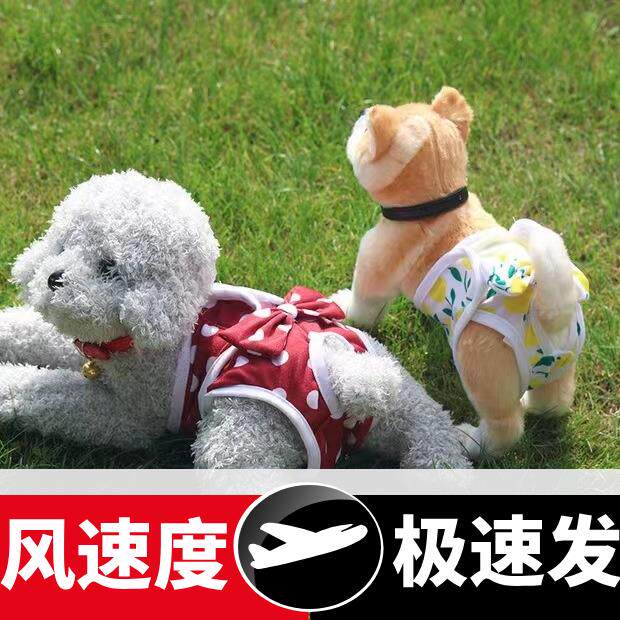 狗狗生理裤小犬防骚扰安心裤泰迪母狗月经尿不湿卫生裤宠物例假裤