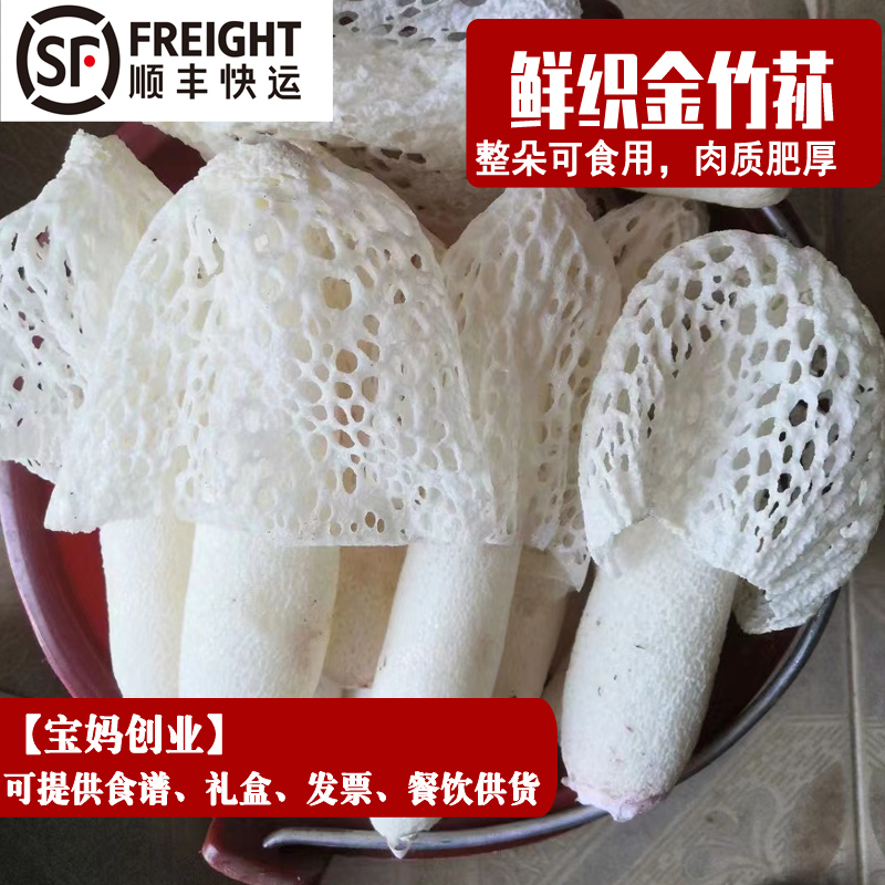 新鲜竹荪2026年云南菌子煲汤食材红托竹荪花现货空运新鲜菌子蘑菇