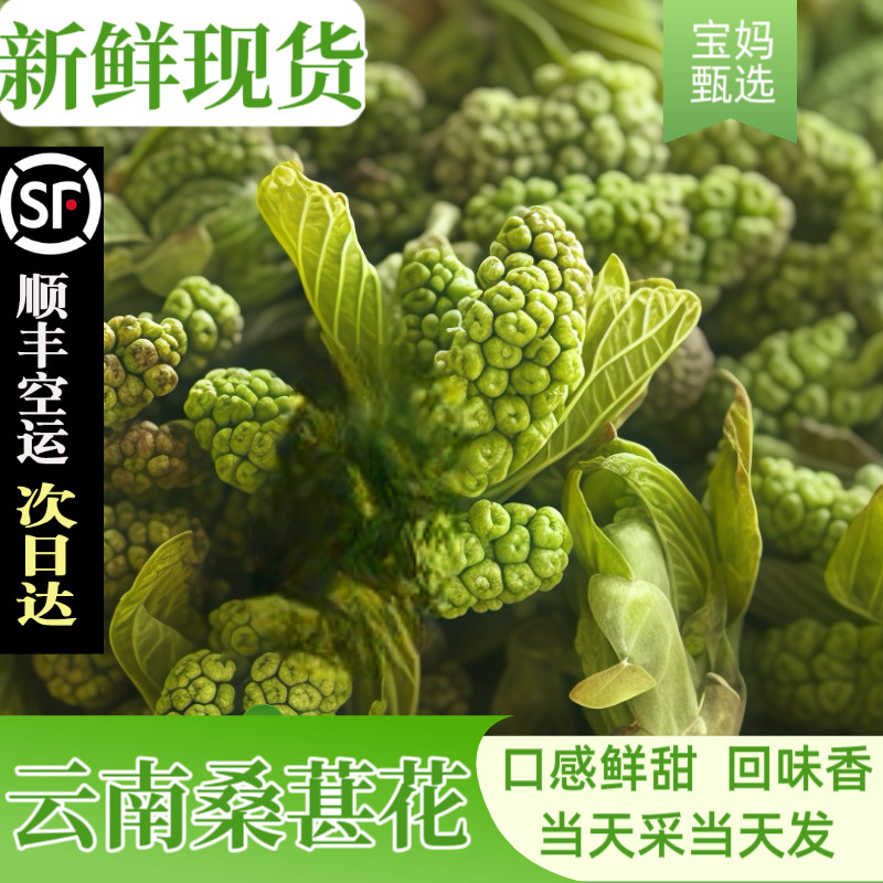 【新鲜现货】云南新鲜食用花桑葚花桑子花马桑花食花季节鲜花食材