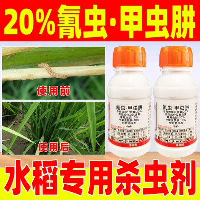二化螟稻纵卷叶螟水稻田杀虫