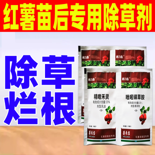 红薯苗后专用除草剂甘薯番薯地瓜红苕正品精喹禾灵除草除杂草剂