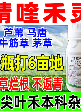 精喹禾灵芦苇除草烂根剂尖叶禾茅草大豆田苗后除杂草正品药精奎a