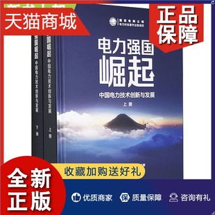 刘吉臻 备设计制造及电力建设运行维修技术书籍 周鹤良 中国电力技术创新与发展 陆燕荪 电力强国崛起 电力装 正版