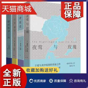 外国文学小说 鸢尾花 外国诗歌 陕西师范大学出版 夜莺与玫瑰 全四册 银河铁道之夜 月亮看见了 正版 书籍 总社 大作家童话