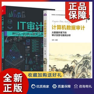 Python提升工作效率会计师审计师IT审计学习SQL实战 计算机数据审计大数据环境下 IT审计用SQL 审计实务与案例分析 正版 全2册