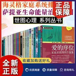正版 12册 海灵格家庭系统排列 共23册 灵魂 爱 序位 萨提亚生命能量治疗系列 洞悉孩子 11册 成功与序位等家庭心理