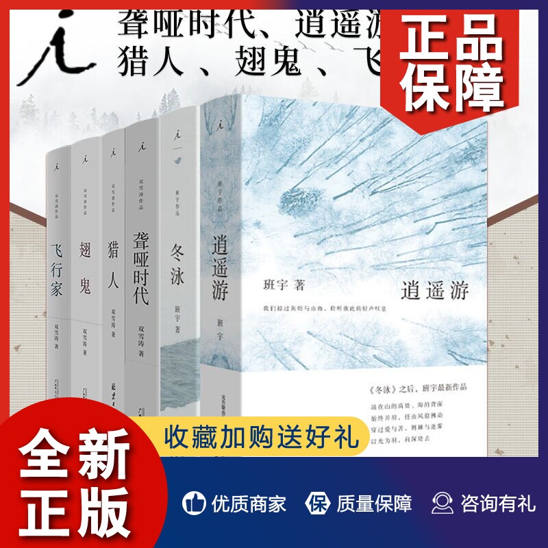 正版【理想国直发】双雪涛 班宇作品套装6册: 聋哑时代 逍遥游 冬泳