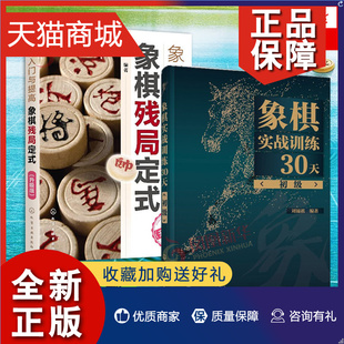 象棋入门与提高 象棋残局定式 初级 正版 升级版 象棋实战训练30天 棋谱入门书籍记忆专项强化训练象棋战术精解分类战术提高书籍