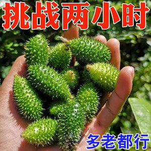 过去的担忧渐渐消散，惊喜地发现，迫不及待用它，师妹直呼66好用
