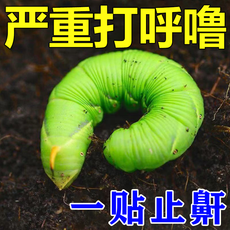 打呼噜治根的专用药特效贴