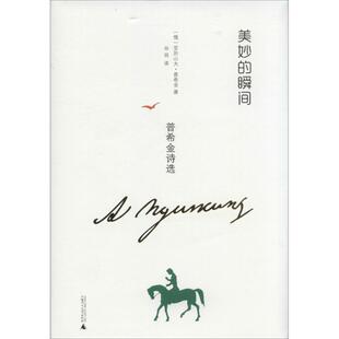 正版 瞬间普希金诗选亚历山大普希金谷羽广西师范大学出版 书 美妙 社 包邮