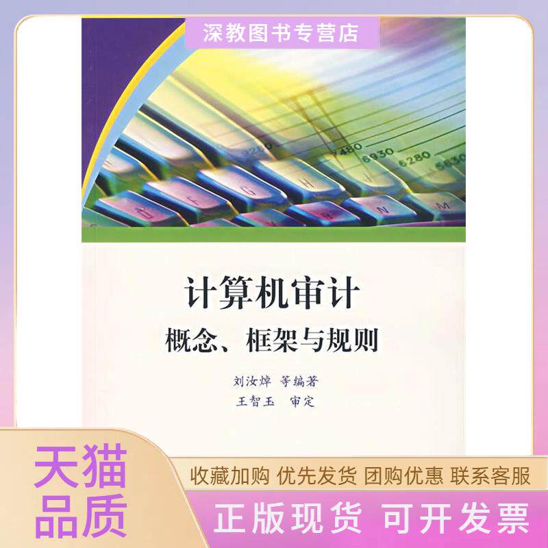 【正版书包邮】计算机审计概念框架与规则审计署计算机审计中级培训系列教材汝清大学出版社
