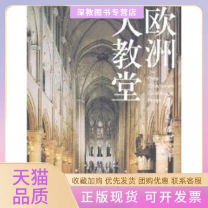 【正版书包邮】欧洲大教堂朱子仪上海人民出版社