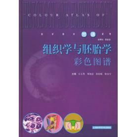 【正版书包邮】组织学与胚胎学彩色图谱医学教学图谱系列石玉秀上海科学技术出版社