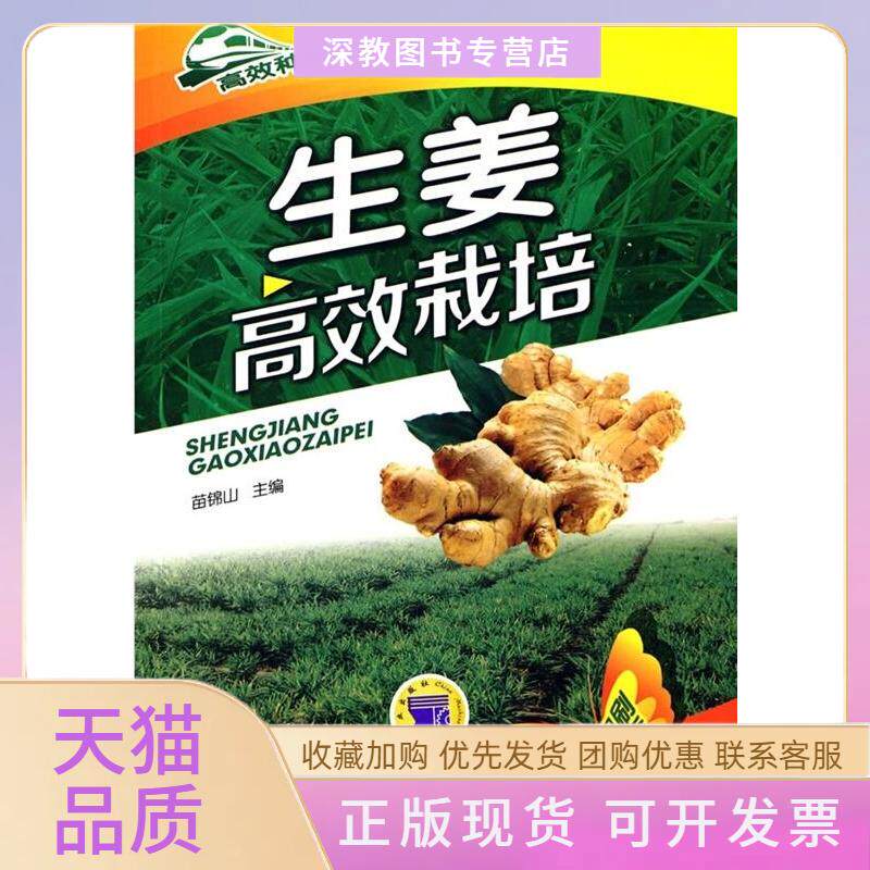 【正版书包邮】生姜栽培苗锦山机械工业出版社