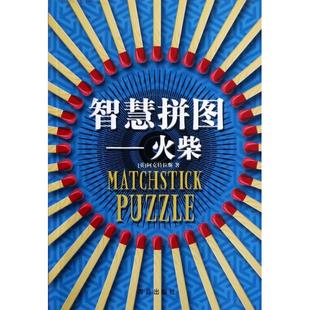 智慧拼图火柴阿克特拉斯 包邮 书 者孙晓楠青岛 正版