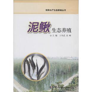 特种水产生态养殖丛书泥鳅生态养殖王冬武高峰湖南科技出版 包邮 书 社 正版