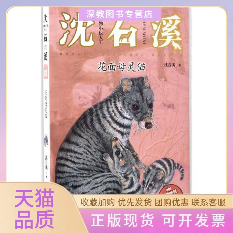 【正版书包邮】花面母灵猫沈石溪浙江少年儿童出版社