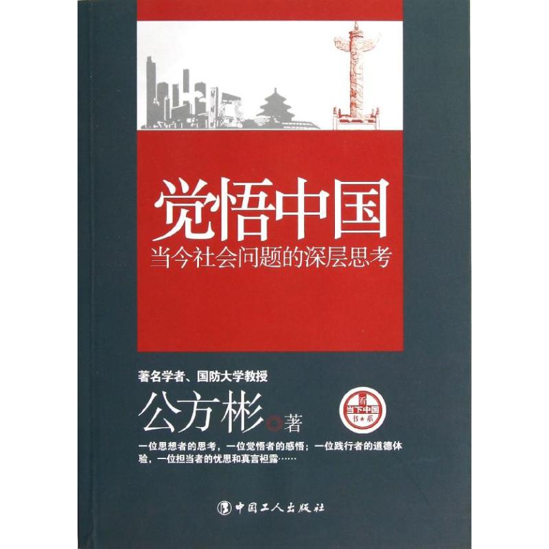 【正版书包邮】觉悟中国当今社会问题的深层思考公方彬中国工人出版社
