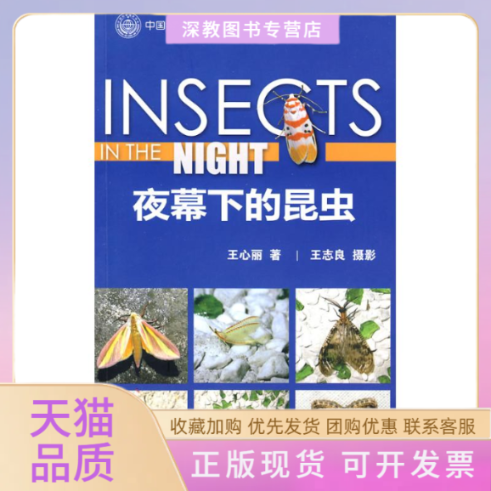 【正版书包邮】夜幕下的昆虫王心丽中国林业出版社