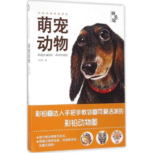 【正版书包邮】萌宠动物AdorableAnimals王洋洋河南美术出版社