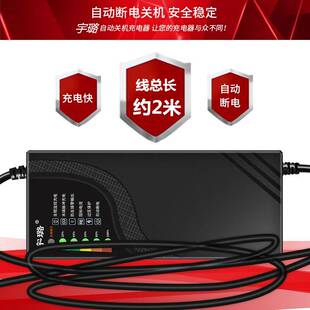 天能电池电动车自动关机电瓶充电器48V12AH60V72V20AH32A通用原装