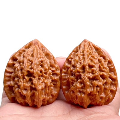 鸡心文玩核桃御文者狮子头